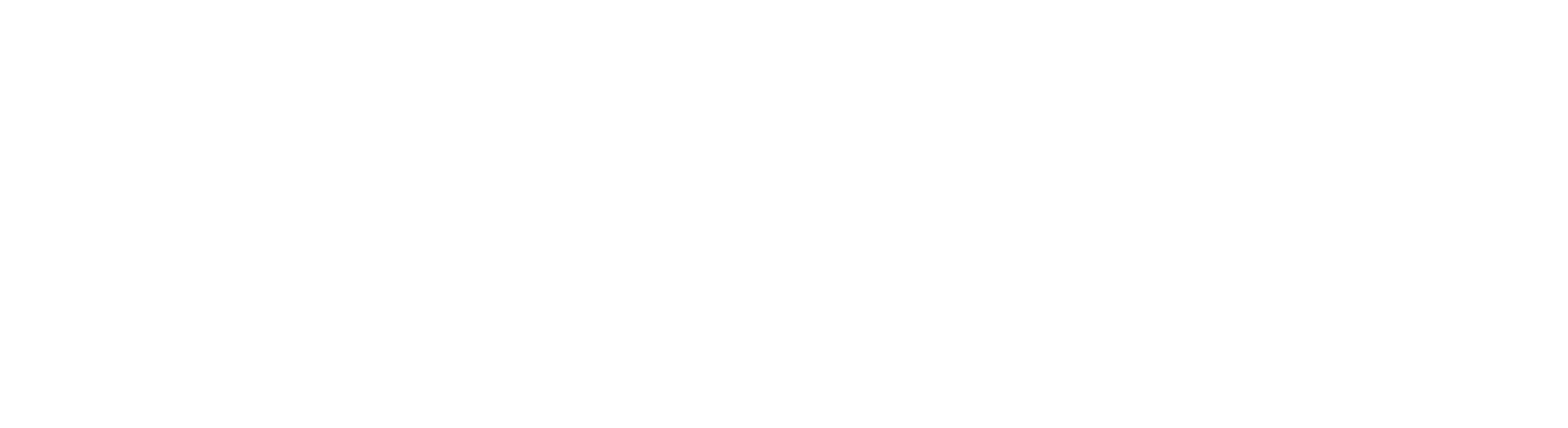 Partner 12